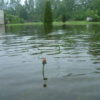 01.06.2013 Waserstand 425cm UP