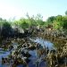 15.06.2013 Das Wasser geht zurück